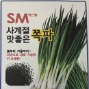 에스엠유통 | 쪽파는 이제 씨앗으로! 사계절 재배 가능한 &#34;SM (에스엠) 사계절 맛좋은 쪽파&#34;