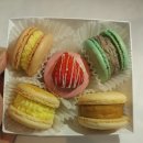 잠실새내역 수제 마카롱 전문점 리블리롱 뚱카롱 (with.서울우유복숭아맛)