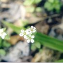 광덕1로 이미지