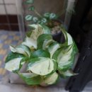 더 해움 이미지