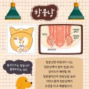 안양펫동물병원 이미지