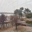 영칼로리포케&샐러드세종