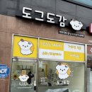 도그도감 | 진접애견미용 스트레스 없는 강아지 미용 맛집 도그도감