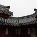 나무와흙 이미지