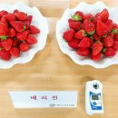메리퀸 - 제천시 풍양로 108 | 메리퀸