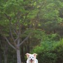 스냅마루 네이버블로그
