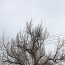 부림2교 이미지