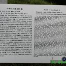 이백지 묘 이미지