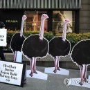 타조사육장 이미지