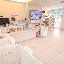 고려 애견 미용실 이미지