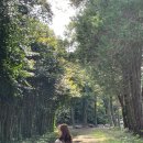 정원목장 | 💚 제주도 여행- 제주도 대한목장 카페 홀리랜드 후기
