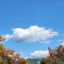 별빛하우스 이미지