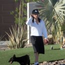 팜스프링스 이미지