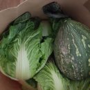 고고농장 이미지