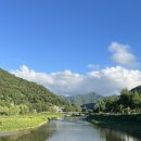 남양천변 L 네이버블로그