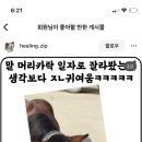 말 앞머리 자르기ㅋㅋ 이미지