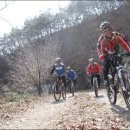 용소~작은 부래기 임도~그리고 즘심 !!! 이미지