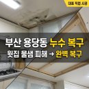 용당동 | 부산 누수 복구 용당동 아파트 윗집 물샘 수리 후기