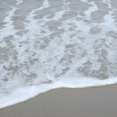 청학동참살이마을 이미지