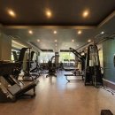 바디메틱 이미지