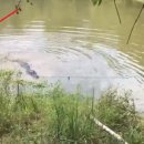 복수목장 이미지