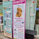 예뻐지개 미용실 이미지