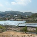 수원-이의-이의-09 이미지