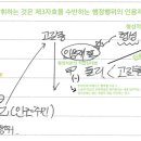 원처분주의에서 제3자효 행정행위와 관련해 인용재결의 의미가 헷갈려 질문드립니다. 이미지