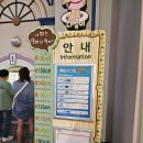 로맨틱유니버스 | [대전] 🌙 대전오월드 나이트유니버스(야간개장) 후기｜불꽃놀이까지 완벽했던 가족 나들이🎆