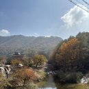 [캠핑장 후기] 3. 양평 금물산하늘소 캠핑장 (매미마을, 명당자리 추천)