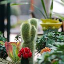 바르바커피 이미지