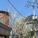 카페오르트(Cafe oort) 이미지