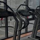 애룰바디 | 헬스장 애룰바디 헬스 PT 천안 동남구 신부동 가격 후기