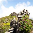 광주 무등산(無等山, 1187m) 주상절리와 백마능선 철쭉산행*2014. 5.8.목* 이미지