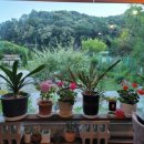 사랑채오리 이미지