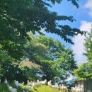 데미샘 꿈그린 목장 이미지