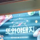 또와야돼지