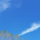 죽청농장 이미지