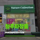 정에프앤비 | 청주화장품 네이쳐컬렉션 청주주성점에서 테르비나 루미에 특별에디션 1+1급으로 데려온 사연