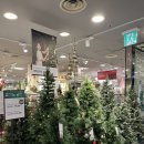 반궁 2001 분당점 이미지