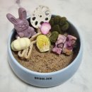 그랜마펫푸드 | [도란도란] 동결건조 채소 및 과일 급여후기