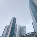 아시아드푸르지오 | 부산 연제구 아시아드푸르지오 아파트 헌옷 방문수거후기 🤗