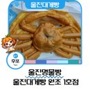 울진 먹거리 추천 울진대게빵 후포점 울진 간식 후기