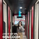 S.G소프트 | 스파오 벌룬 와이드 코튼 팬츠 봄니트와 코디 피팅 후기