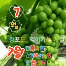 7월 6일 토요일 출석부 이미지