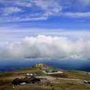 천지연주차장 이미지