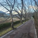 조리마을체육공원 이미지