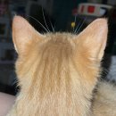 사평대로20길 58 | 22년 12월 보름