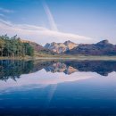 역삼-1731 이미지