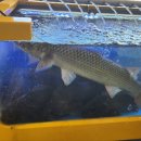 파도소리횟집 이미지